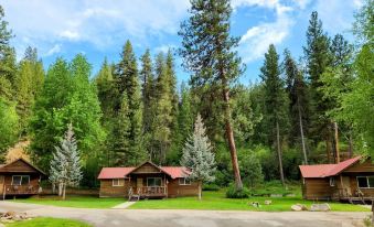 Southfork Lodge Cabin 3