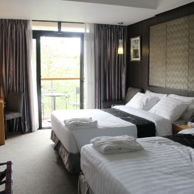 Deluxe Room Forest View Le Monet Hotel Promo Code