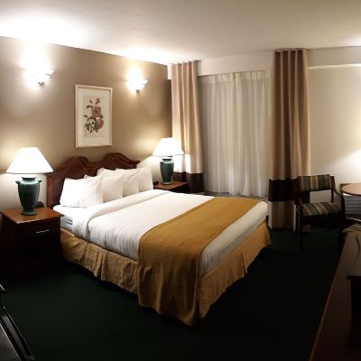 Queen Room-Accessible Pleasant Moose Lodge Promo Code