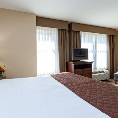 Executive King Room With Roll-in Shower-Non-Smoking Jefferson Street Inn, a Member of Radisson Individuals Promo Code