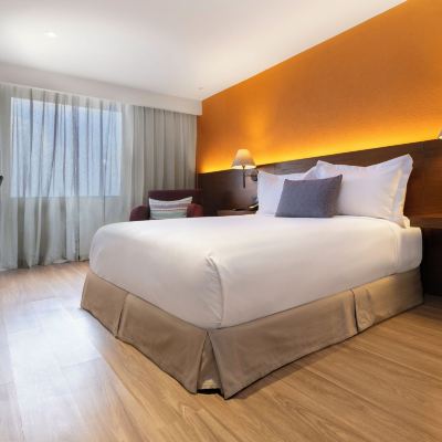 Camino Real Club Queen For Adults Only Camino Real Aeropuerto Promo Code