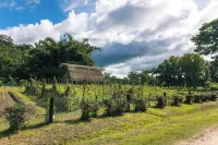 Copal Tree Lodge a Muy'Ono Resort Hôtels à : 