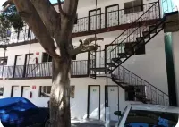 Hotel Del Bosque
