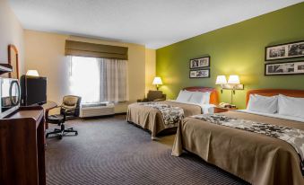 Sleep Inn & Suites Danville Hwy 58