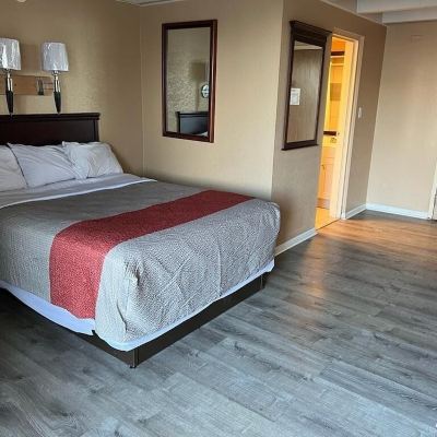 Standard Double or Twin Room, 1 Twin Bed