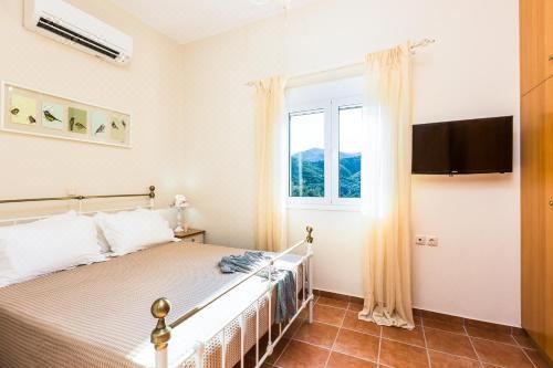 别墅（带独立泳池）