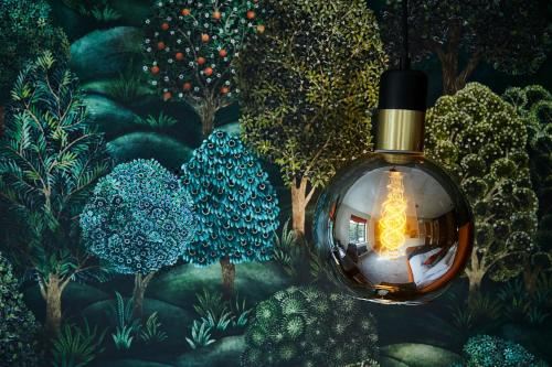 豪华双人或双床房