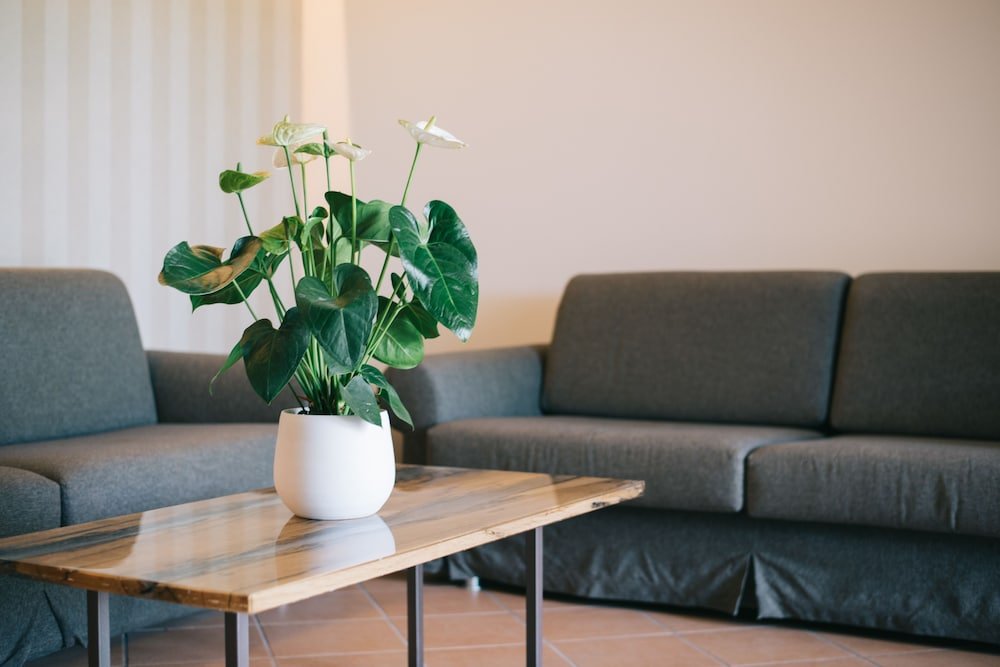 豪华特大床套房 - 带梳化床