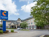 Comfort Inn & Suites Daphne Spanish Fort - Mobile East Hotels in Daphne