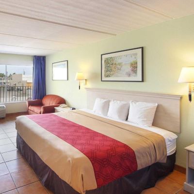 King Room with Sofa Bed South Padre Island Lodge Promo Code