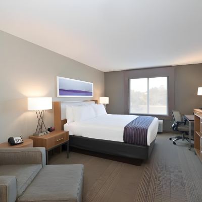 Standard King Room with Walk in Shower Jetted Tub Holiday Inn Express Hotel & Suites Hot Springs, an IHG Hotel Promo Code