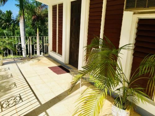 园景标准双床房