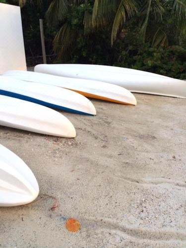 一卧室一室公寓