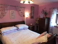 Converted Stone Barn -20 Acres - Farm Animals!