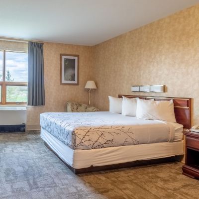 Room, 1 Queen Bed (No Pets Allowed) Pilgrim Inn Promo Code