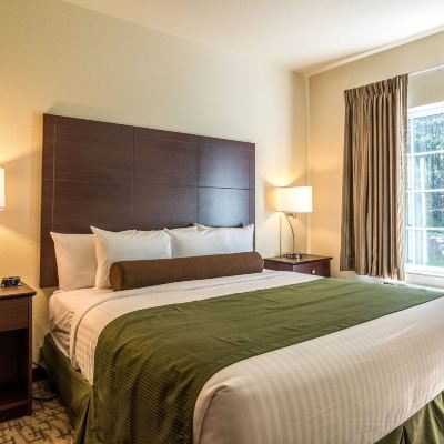 Accessible King Suite With Sofa Bed-Non Smoking Cobblestone Hotel & Suites - Greenville Promo Code