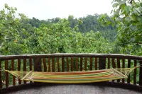 Hotel Orangutan Hotels in 