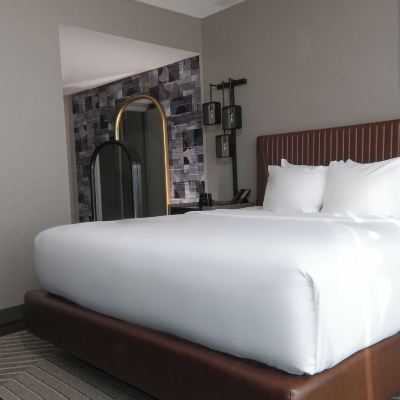 Luxury Suite, 1 King Bed With Sofa Bed, Roll-in Shower Greektown Casino-Hotel Promo Code