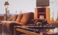 ألبيرجو نورد روما