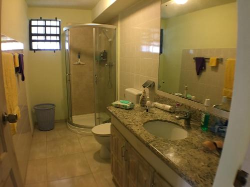 别墅（带独立泳池）