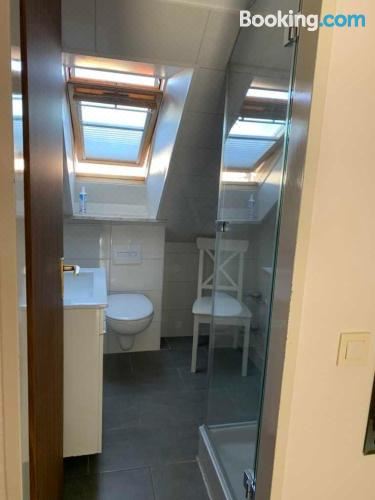 一卧室公寓带淋浴