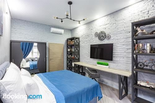 豪华两卧室公寓