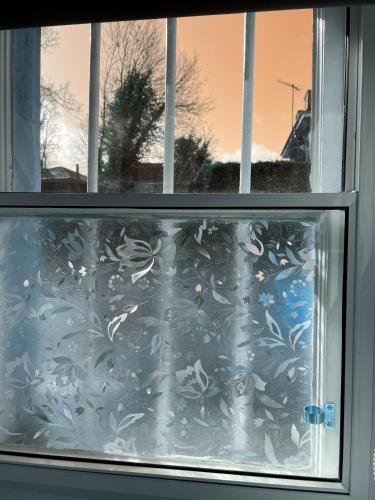 小型半地下双床间