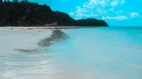 SJ イン スカジャディ