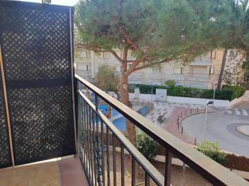 园景两卧室公寓