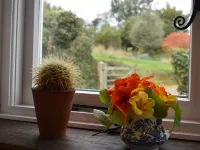 Applecote - Rye Hotels in Rye