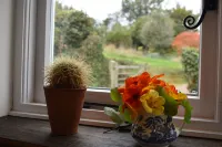 Applecote - Rye