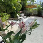 Heron House Court - Adult Only Hotels in 