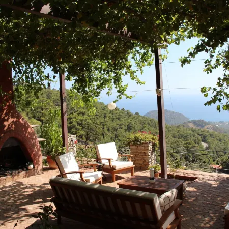 Villa Vino