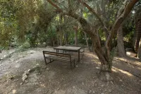 Jordan EcoPark Hotel a 