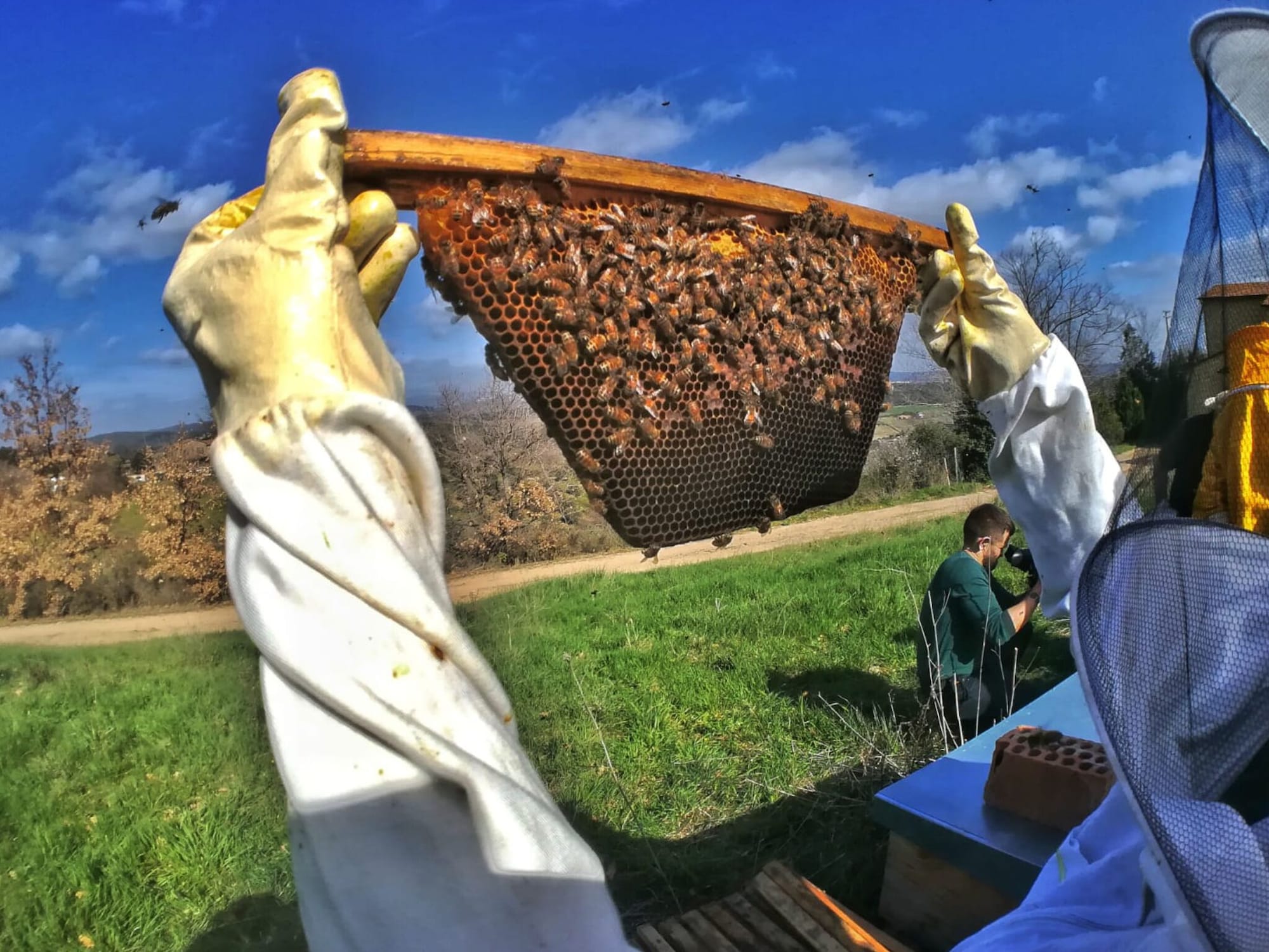 1卧室公寓 - 带庭院 - 可吸烟