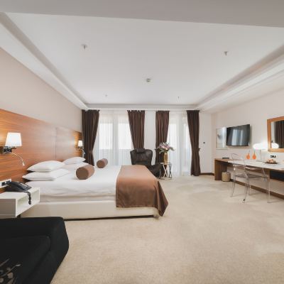 Superior Double or Twin Room with City View Hotel Aurel Promo Code