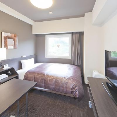 シングルルーム(禁煙) ホテルルートイン佐伯駅前 クーポン