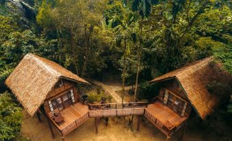 two wooden houses with thatched roofs , situated in a lush green forest , with two balconies and a wooden walkways leading to the at Our Jungle House