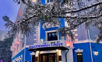 Amur Hotel