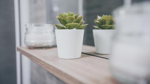 公寓 - 地面楼层