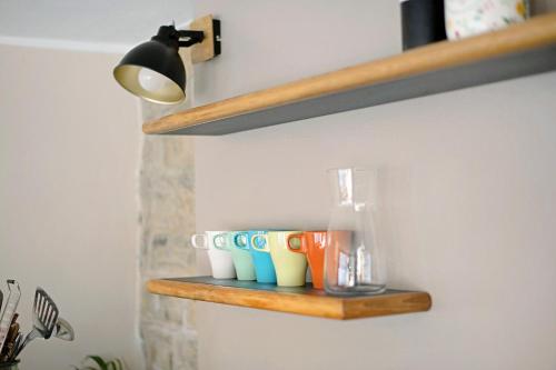 高级一卧室公寓