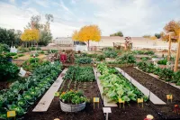 Holiday Inn Express & Suites PHOENIX EAST - GILBERT by IHG