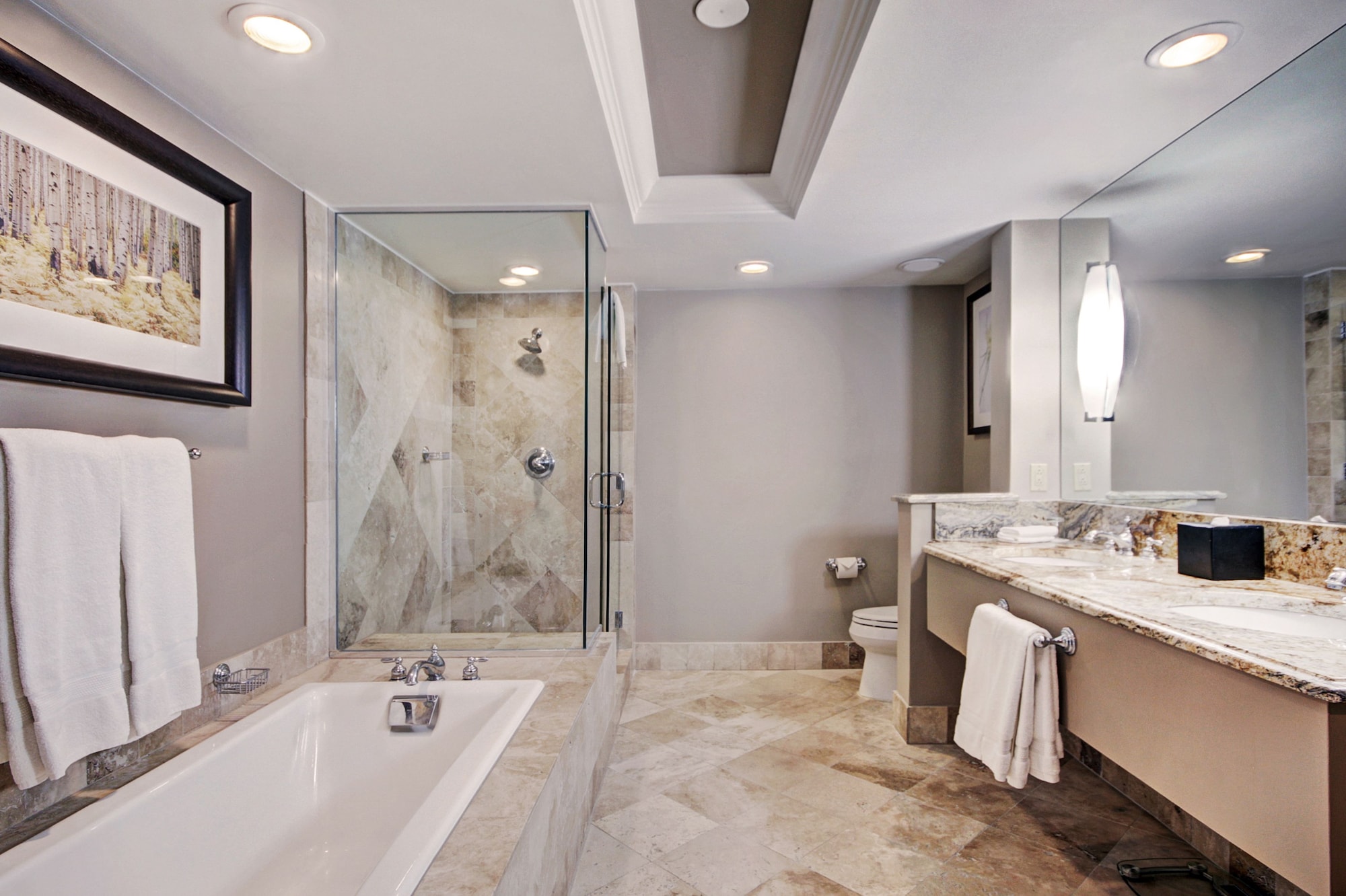 豪华房-2张大床