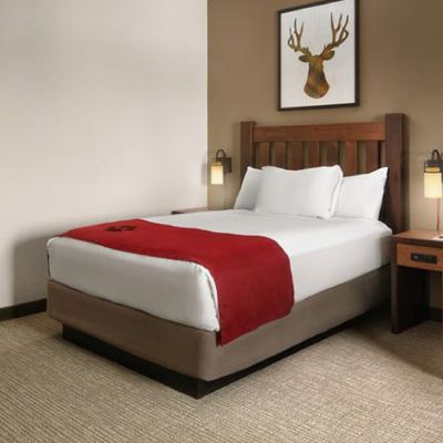 Suite (Kidkamp - Water Park Included) Great Wolf Lodge Concord Promo Code