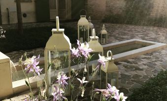 Le Case Di San Vitale - Housity