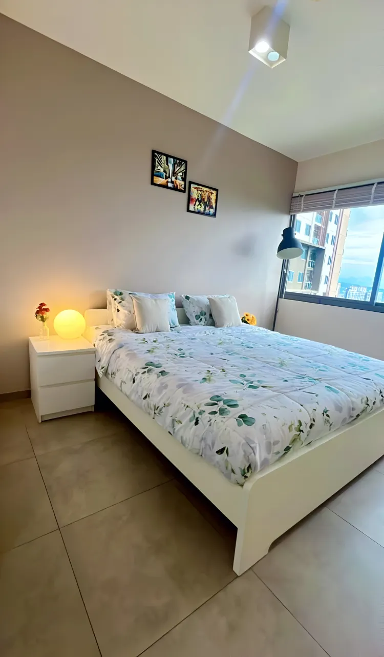 อพาร์ทเมนท์, บ้านหรืออพาร์ทเมน์ทั้งหลัง