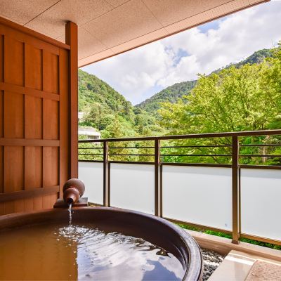 Japanese-Style Room With Golden Spring Open-Air Bath & Terrace (Type D, Top Floor) 天地の宿 奥の細道 クーポン