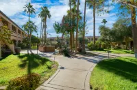 La Fuente Inn & Suites Hotels in 