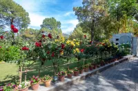 Moksha Himalaya Spa Resort