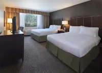 Holiday Inn & Suites ANAHEIM (1 BLK/DISNEYLAND®) by IHG